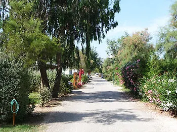 Azur Soleil - Les Pins Maritimes - Campground Costebelle Hyeres